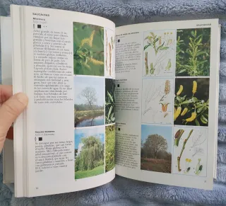 Árboles y arbustos de Europa