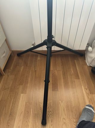 Diana de acero con pie