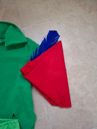 Disfraz Peter Pan niño.