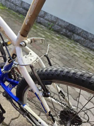 Bici MTB Storm Bambino