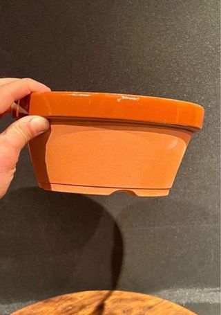 3 macetas Para Mario