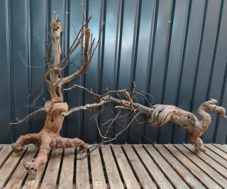 Raíz/tronco Decoración acuario OFERTA SOLO HOY!