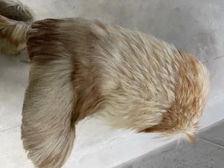 Botas de nieve peludas