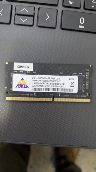RAM y SSD (muy pocas horas de uso)
