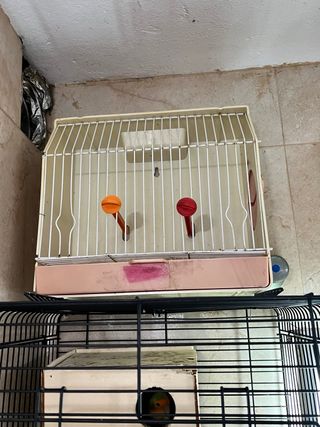 Jaula de concurso beige y rosa