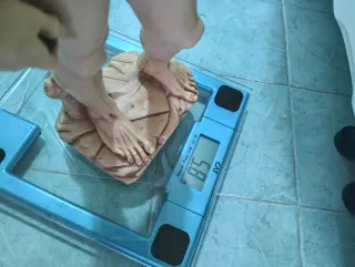 Statue David e Venere