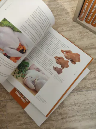 El arte de la cocina. Universo de sabores