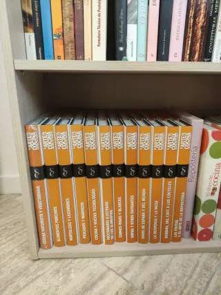 El arte de la cocina. Universo de sabores