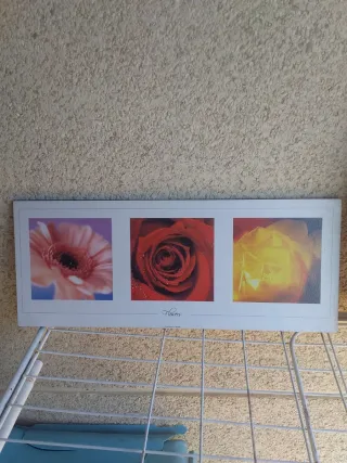 Dos cuadros de flores para entrada