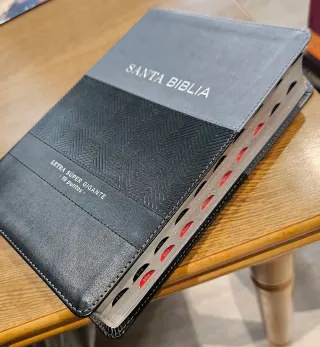 Santa Biblia - Reina Valera 1960