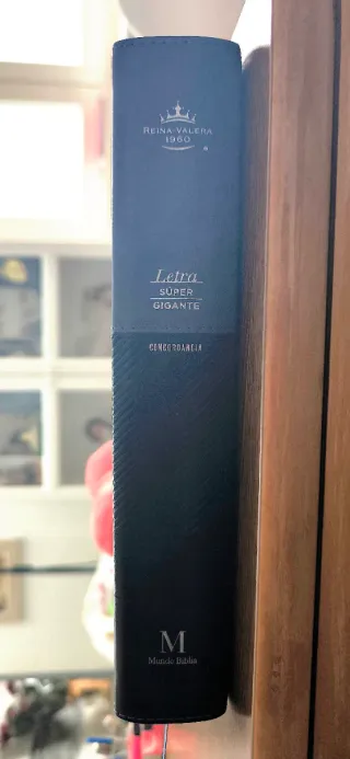 Santa Biblia - Reina Valera 1960