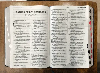 Santa Biblia - Reina Valera 1960