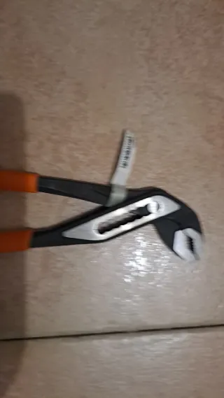 Pinza Beta pappagallo