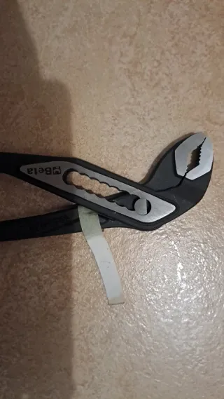 Pinza Beta pappagallo