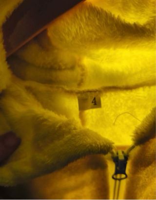 Pack Disfraces Minions Familia