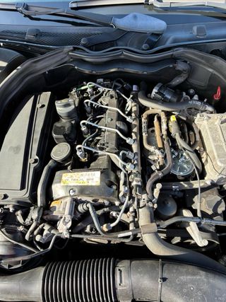 Mercedes-Benz 220 2009