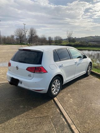 Volkswagen Golf VII  1.6 TSI 122 cv