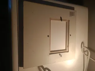 Cornice decorata a mano con rosa