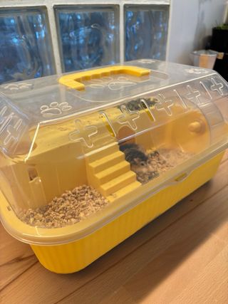 2 Hamster Roborowski + Cesta