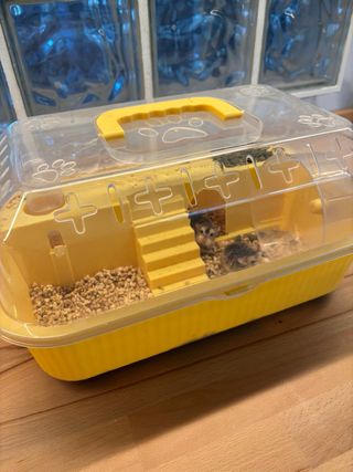 2 Hamster Roborowski + Cesta