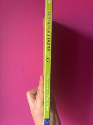 A Fada Sininho e o Parque Mágico