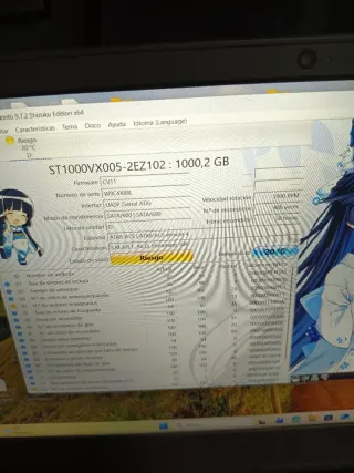 Disco Duro Seagate SkyHawk 1TB SATA 3