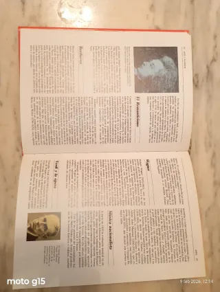 Áreas Consultor Didáctico