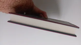 LIBRO Culpable por definición - Susie Dent