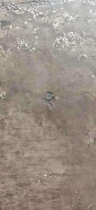 Colección de libros de historia antiguos