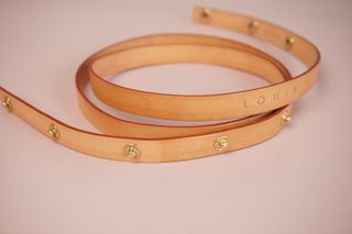 Louis Vuitton Pochette Florentine