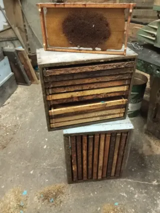 Colmenas y cuadros apicultura