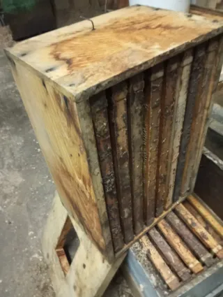 Colmenas y cuadros apicultura