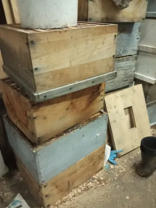 Colmenas y cuadros apicultura