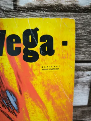 Vinilo Suzanne Vega 99.9°F