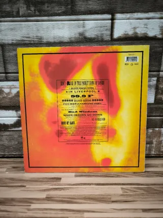 Vinilo Suzanne Vega 99.9°F