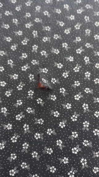 Traje de aldeana negro con blanco