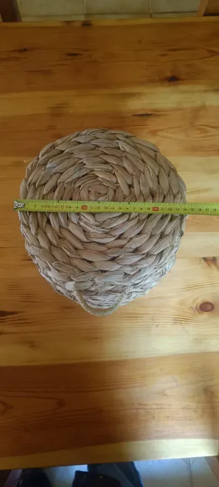 Serijo antiguo de enea