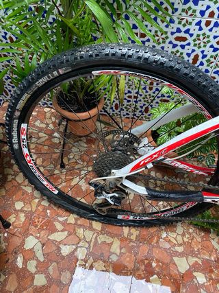 Bicicleta Mendiz RX6 Carbono XT