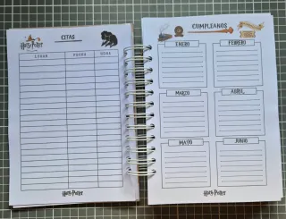 Agenda 2026 Harry Potter