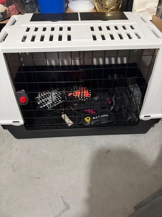 Transportín De animales