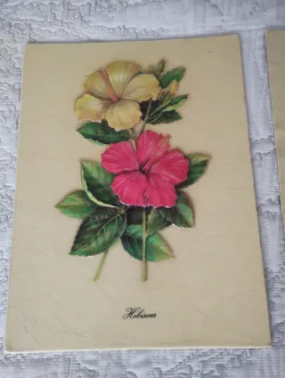 2 Láminas Flores Vintage Hibisco y Hortensia