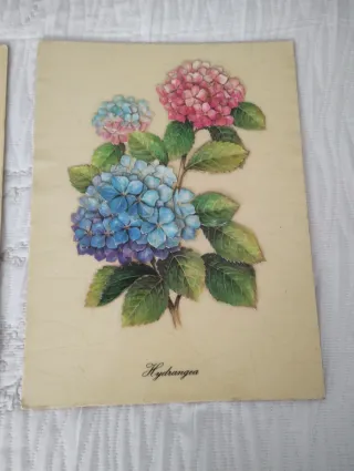 2 Láminas Flores Vintage Hibisco y Hortensia