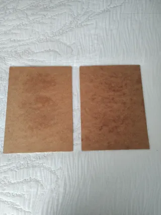 2 Láminas Flores Vintage Hibisco y Hortensia