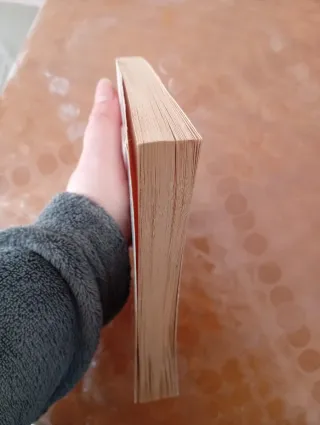 El guardián entre el centeno