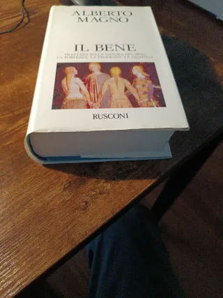 Il bene