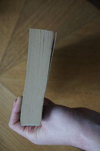 Feminismo para principiantes (Spanish Edition)