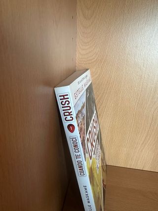 Libro Crush 1. Cuando te conocí - Estelle Maskame