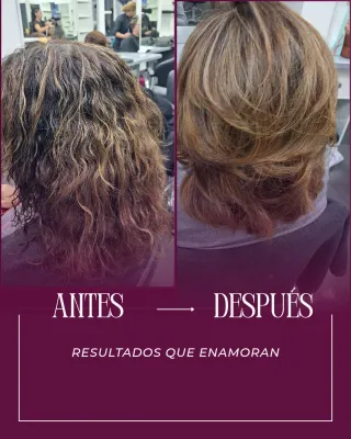 Secado con movimiento y volumen