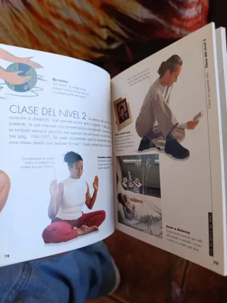 Los Secretos del Reiki (Spanish Edition)