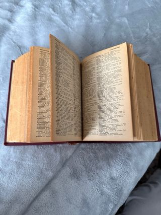 Diccionario Español - Francés